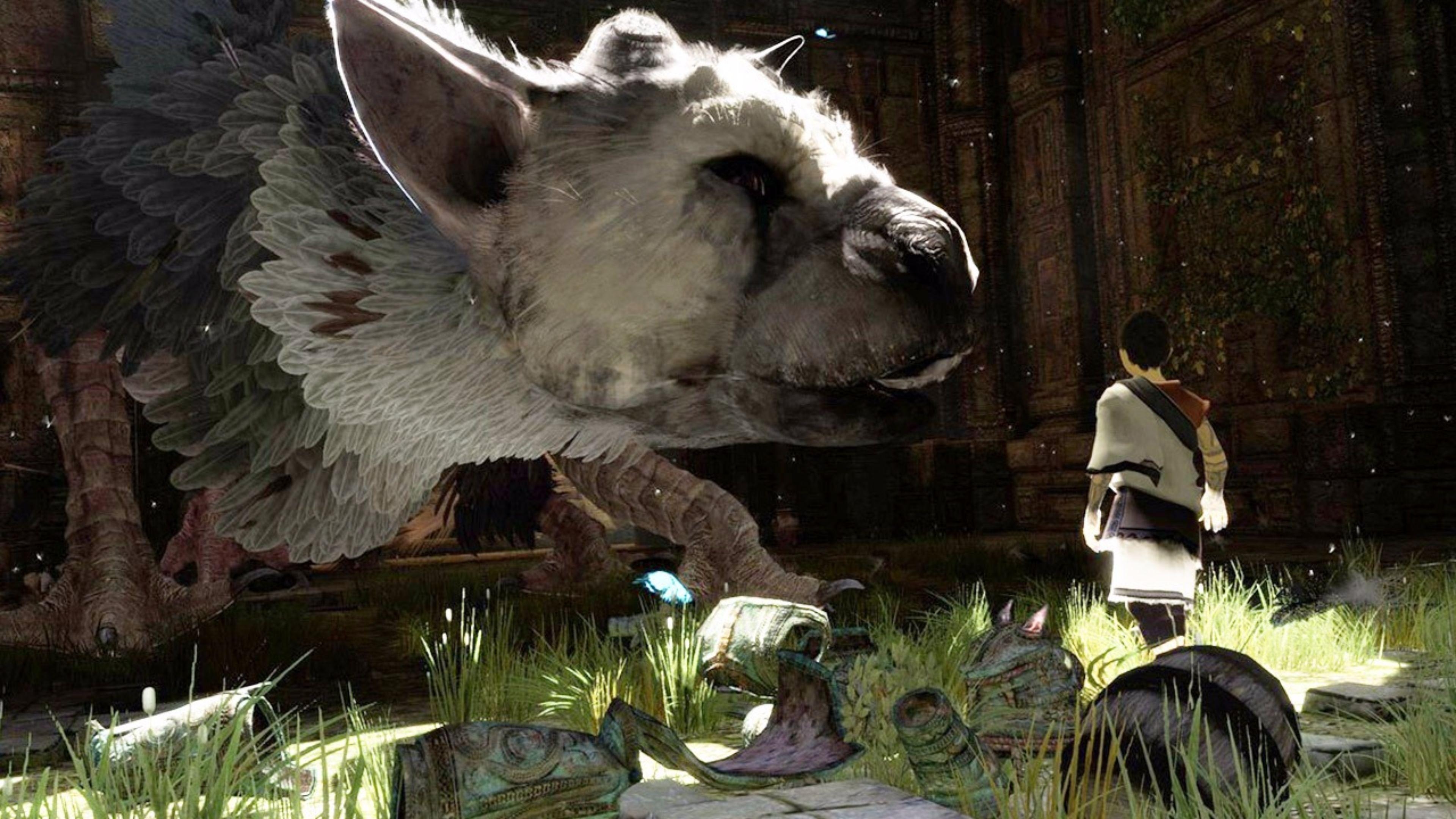 3840x2160 Gameplay The Last Guardian 4K Wallpaper. Free 4K Wallpaper, Desktop