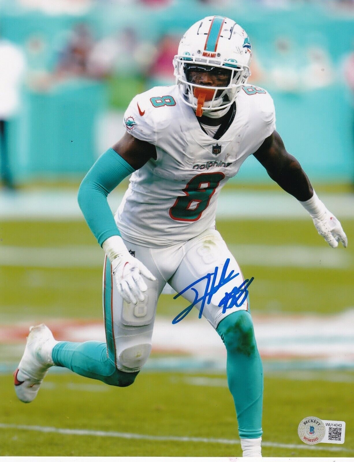 1230x1600 JEVON HOLLAND MIAMI DOLPHINS BECKETT AUTHENTICATED ACTION SIGNED 8X10, Phone