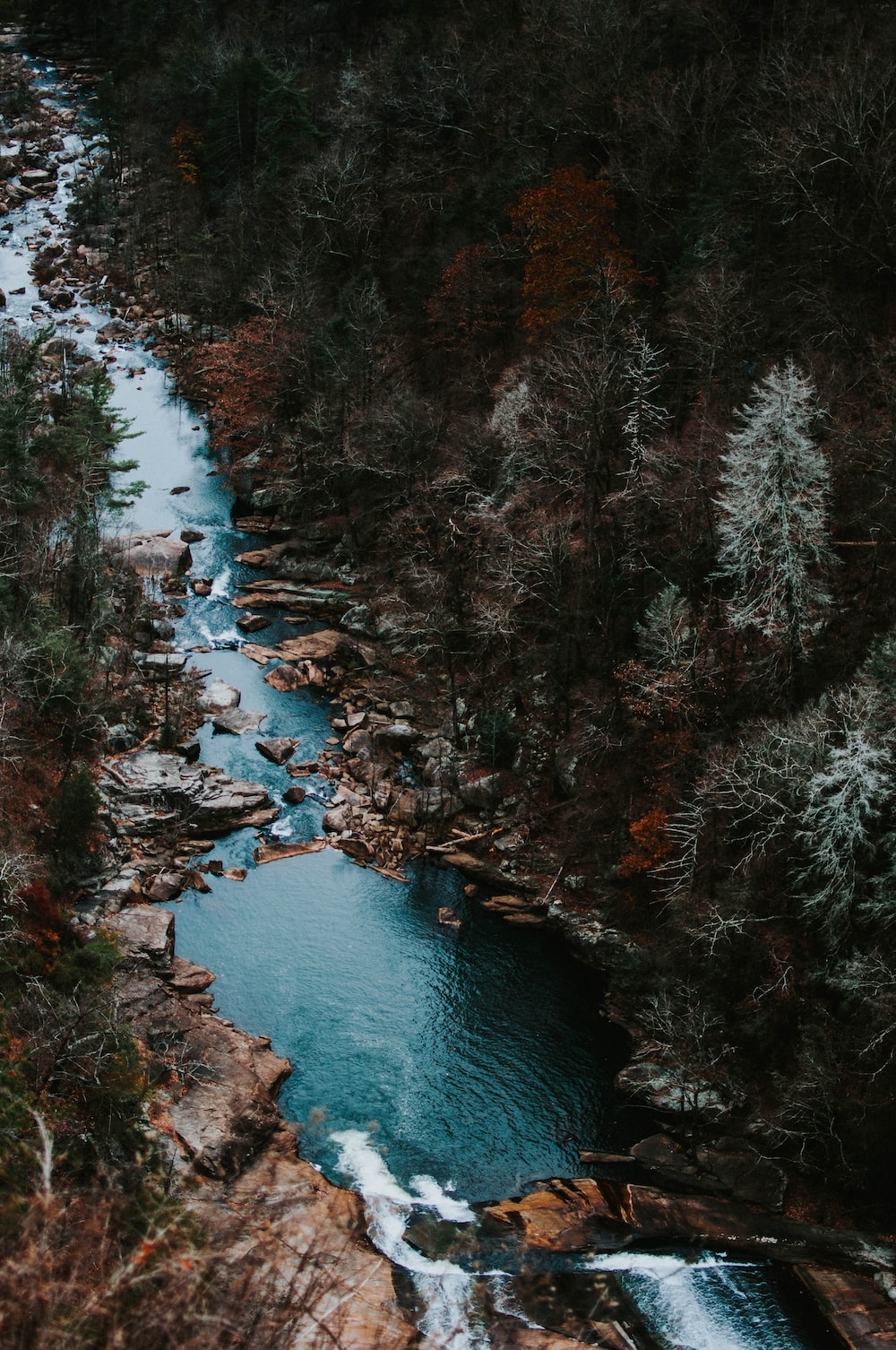 1000x1510 Aerial photography of body of water with trees around photo, Phone