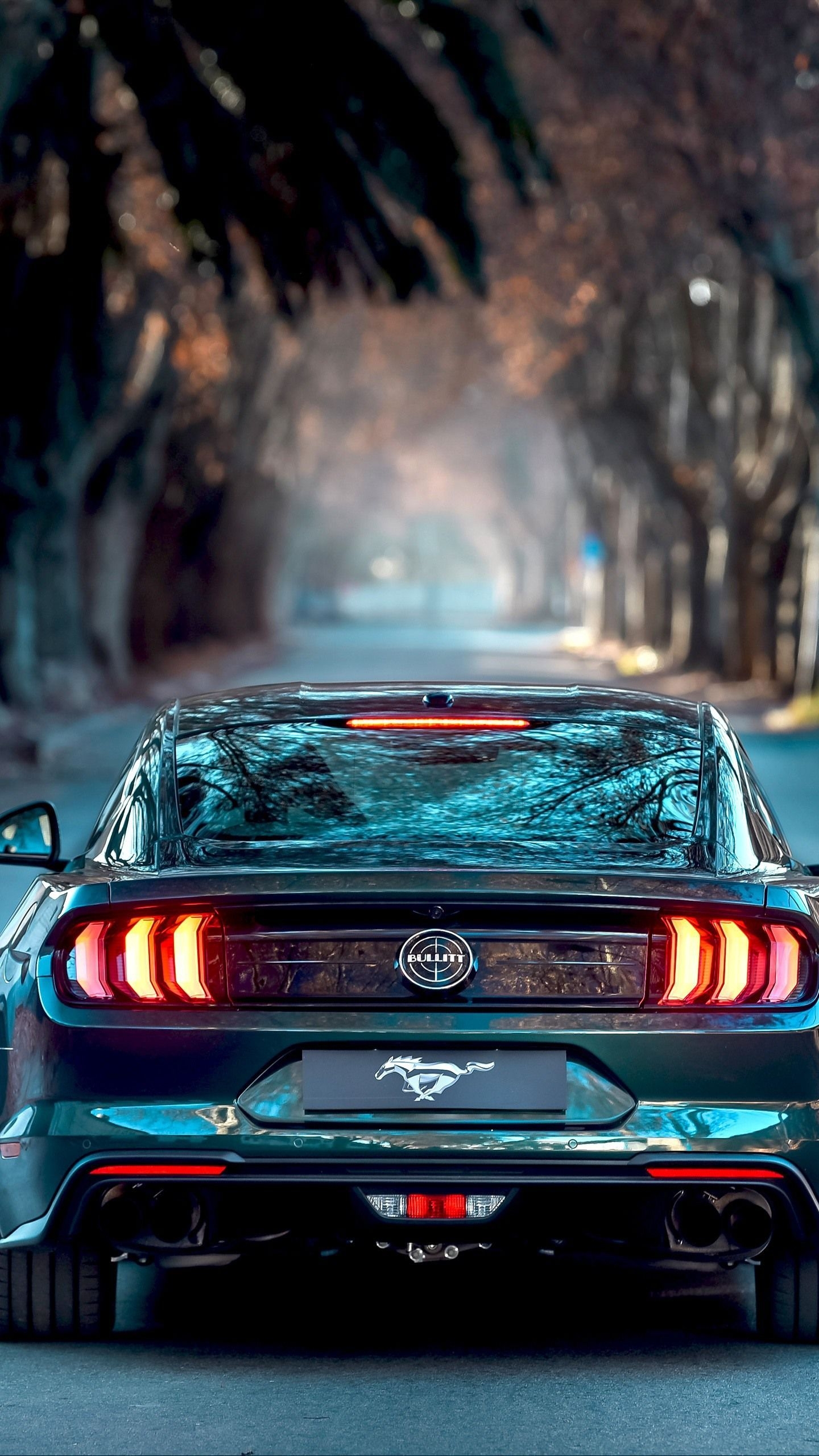 1440x2560 Ford Mustang iPhone Wallpaper Free Ford Mustang iPhone Background, Phone