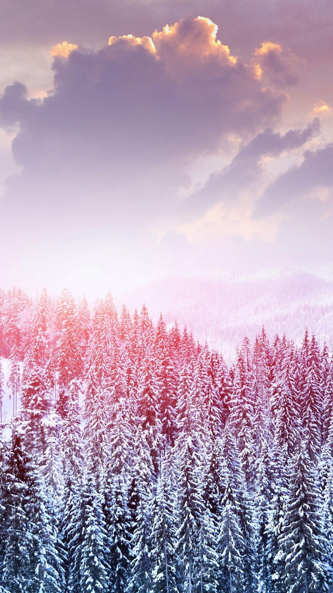 1080x1920 Pink Winter Wallpaper Free Pink Winter Background, Phone