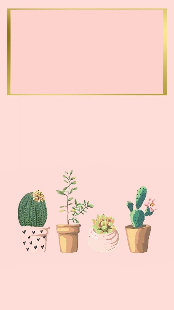 720x1280 Aesthetic Cactus Wallpaper Free Aesthetic Cactus Background, Phone