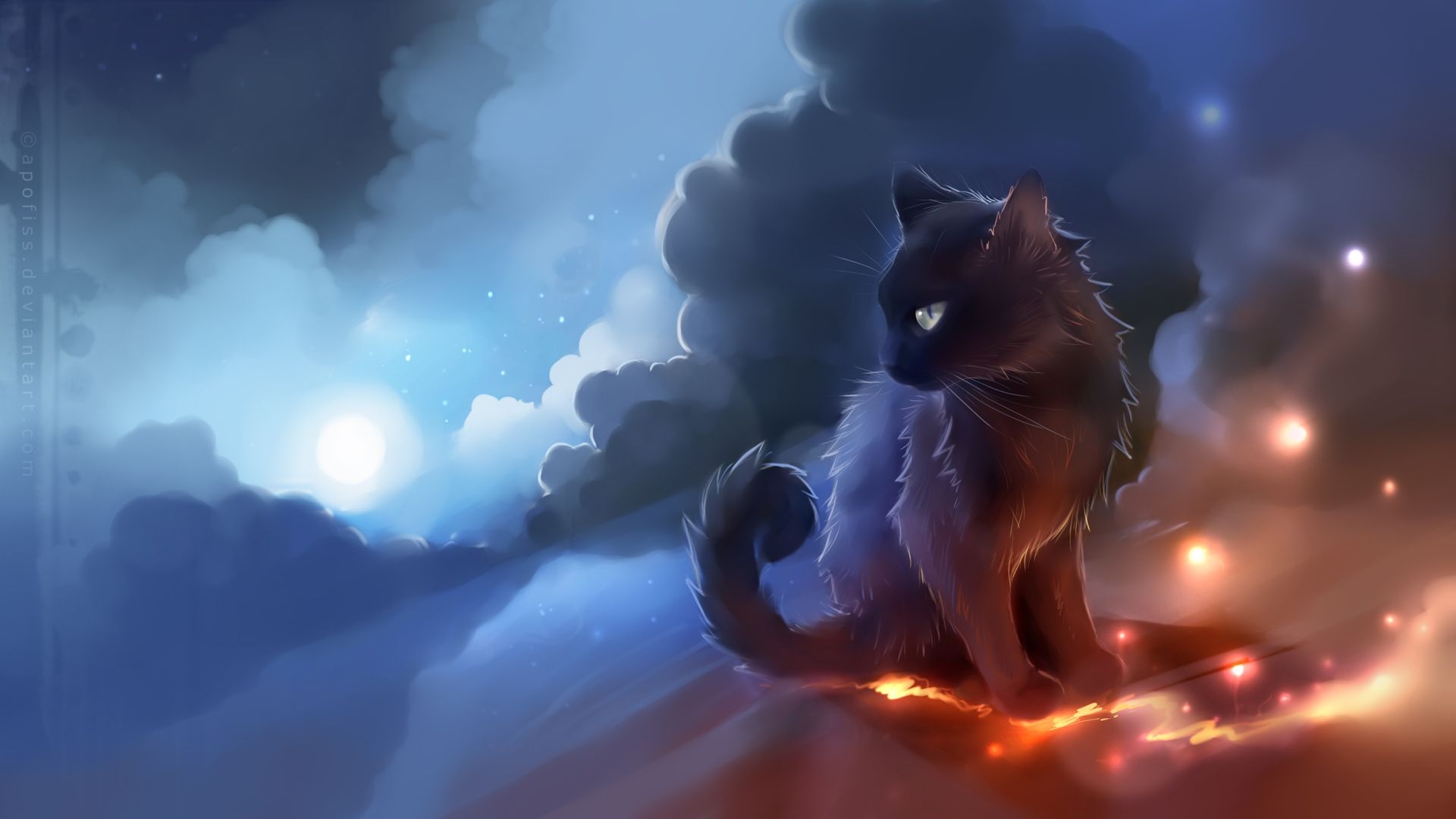 1920x1080 Cool Cat HD Wallpaper, Desktop