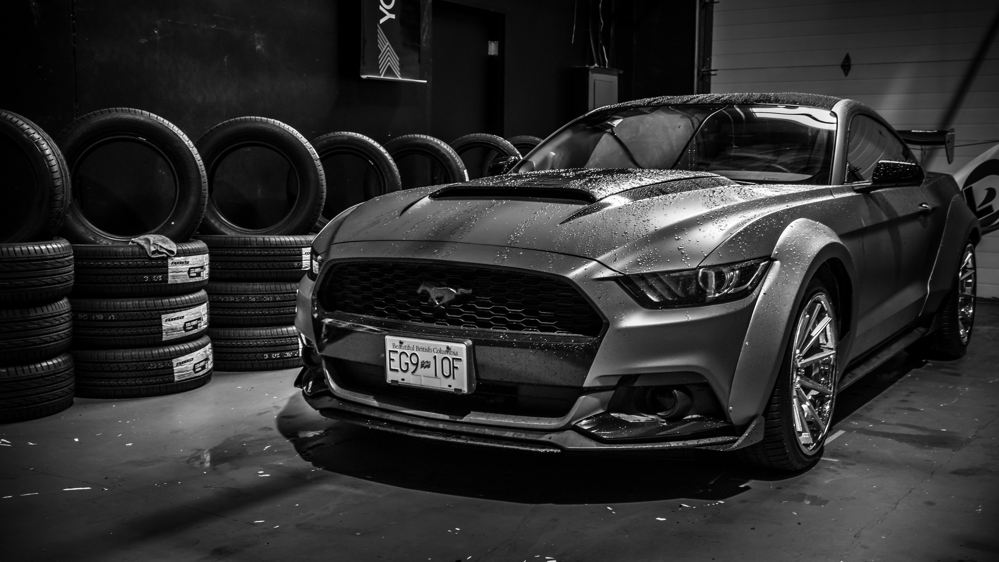 3840x2160 Wallpaper 4k Ford Mustang Monochrome 4k 4k Wallpaper, Black, Desktop