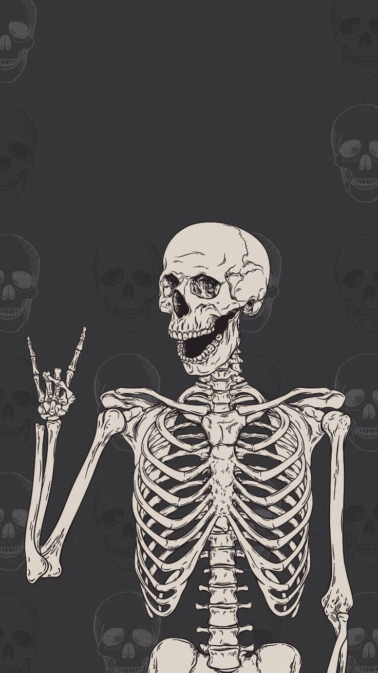 740x1310 Download Cute Skeleton iPhone Rocker Style Wallpaper, Phone