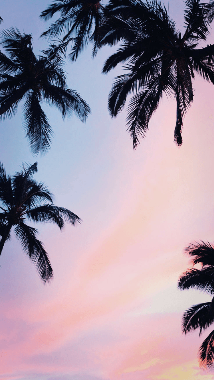 750x1340 Aesthetic Palm Tree Phone Wallpaper Free Aesthetic Palm, Phone