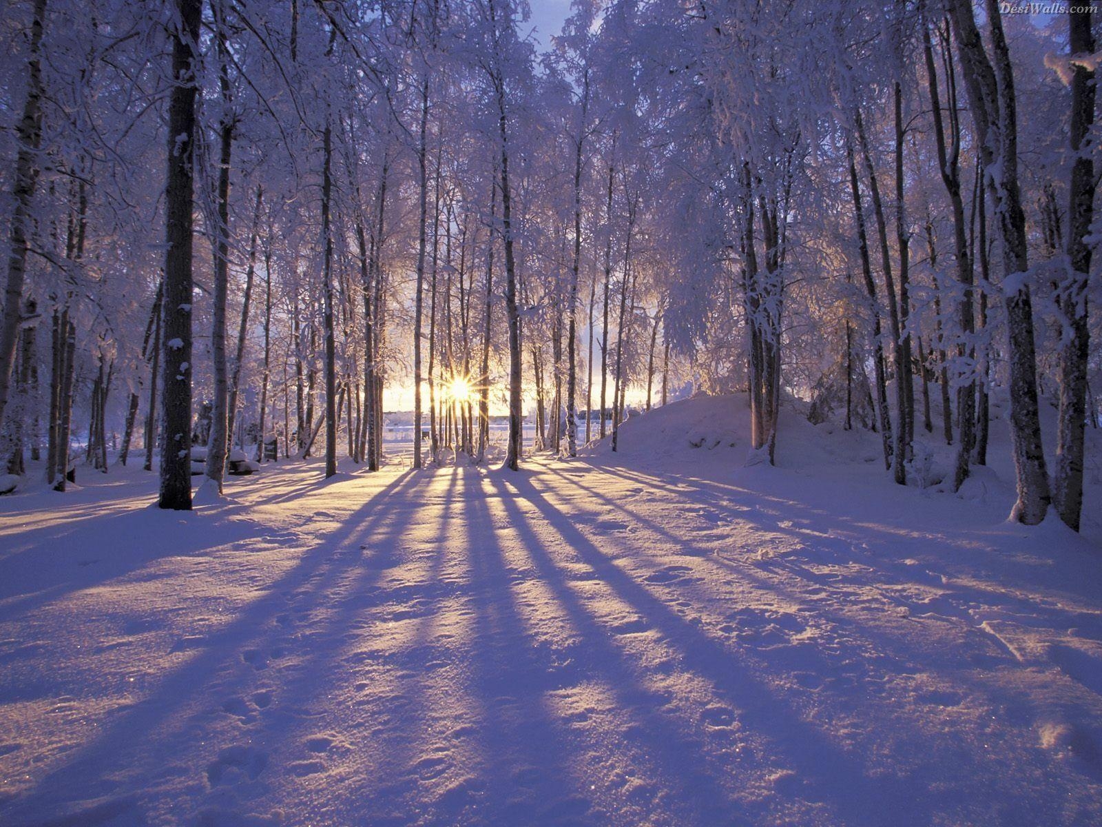 1600x1200 Wondeful Winter Wallpaper Selahblue (cynti19) Wallpaper, Desktop