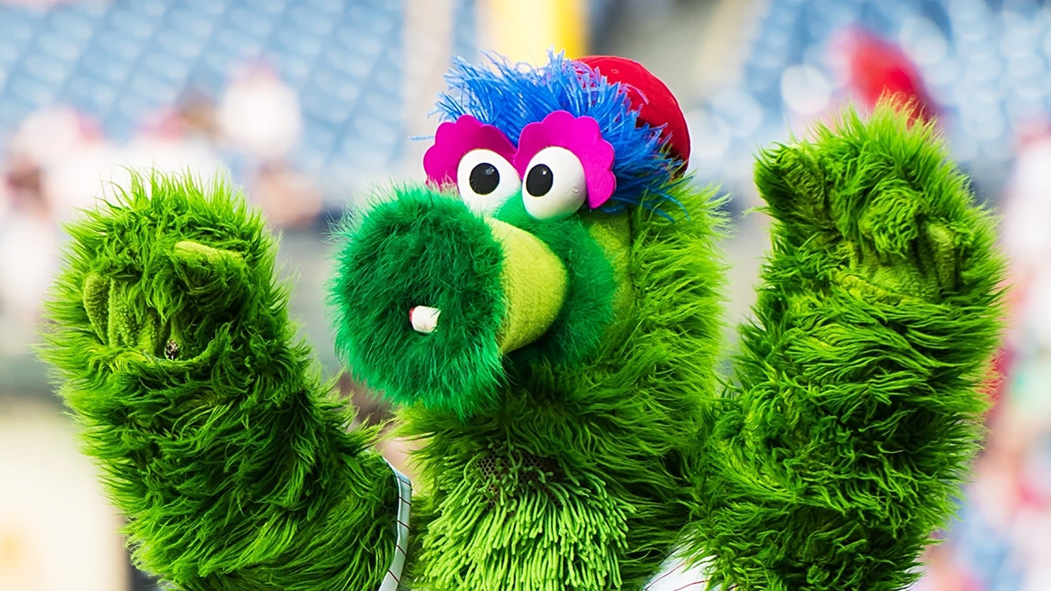 2050x1160 Phillies Phanatic Mascot's New Look Doesn't Seem Very New, Desktop