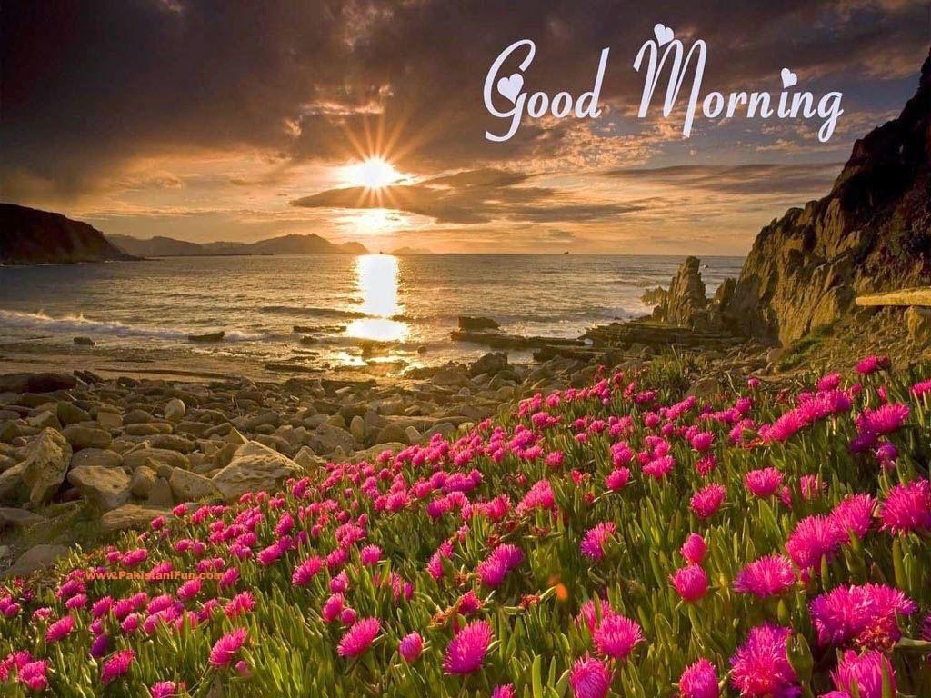 1030x770 Widescreen Awesome Nature Good Morning HD Full Pics Background, Desktop