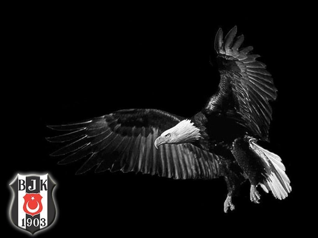 1030x770 Background wallpaper, BESIKTAS BEST FOOTBALL TEAM OF TURKEY, Desktop