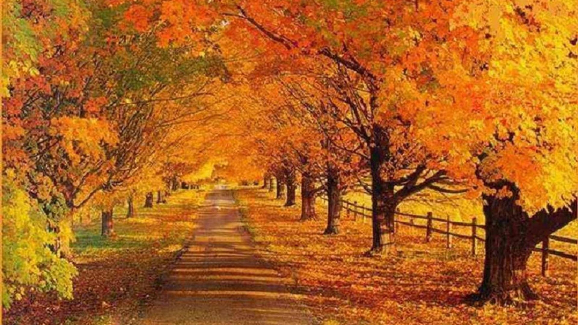 1920x1080 Fall Road Wallpaper Free Fall Road Background, Desktop