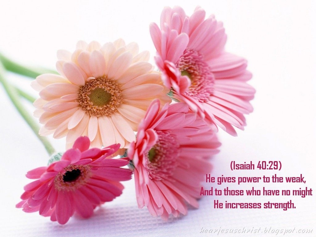 1030x770 Christian Wallpaper: Bible Verse Wallpaper 40:29, Desktop