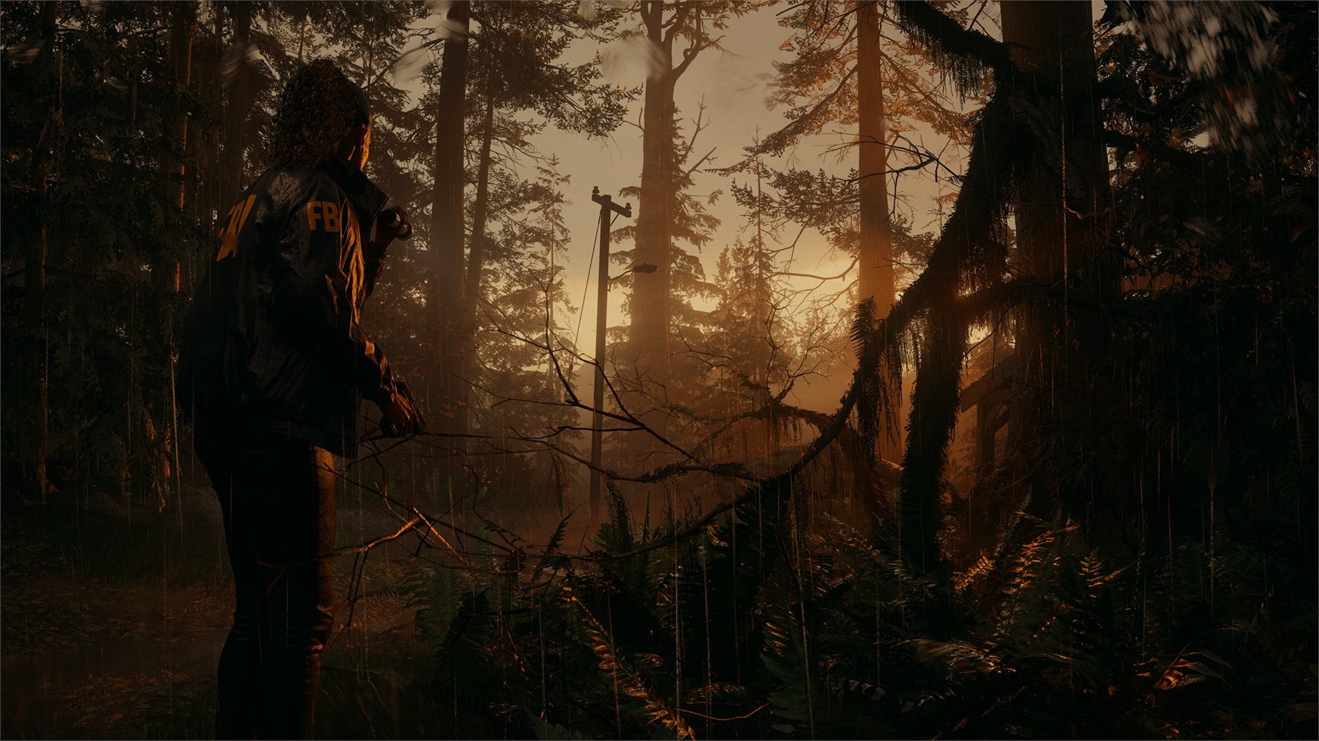 1920x1080 Alan Wake 2 Wake 2 is not just a step, but a leap forward. It takes the foundations of everything we've done before and pushes it as far as, Desktop