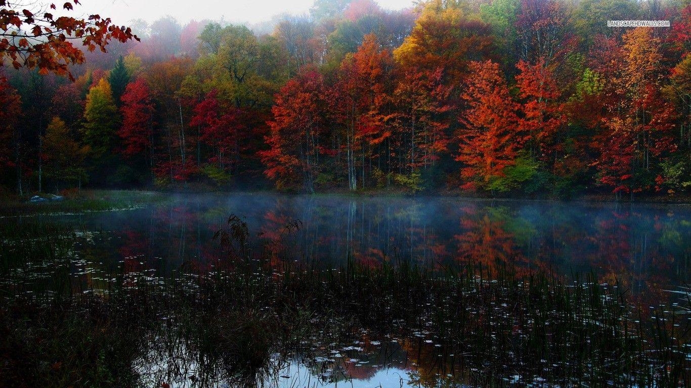 1370x770 Forests: Chatfield Hollow Trails Colors Boulders Connecticut Autumn, Desktop