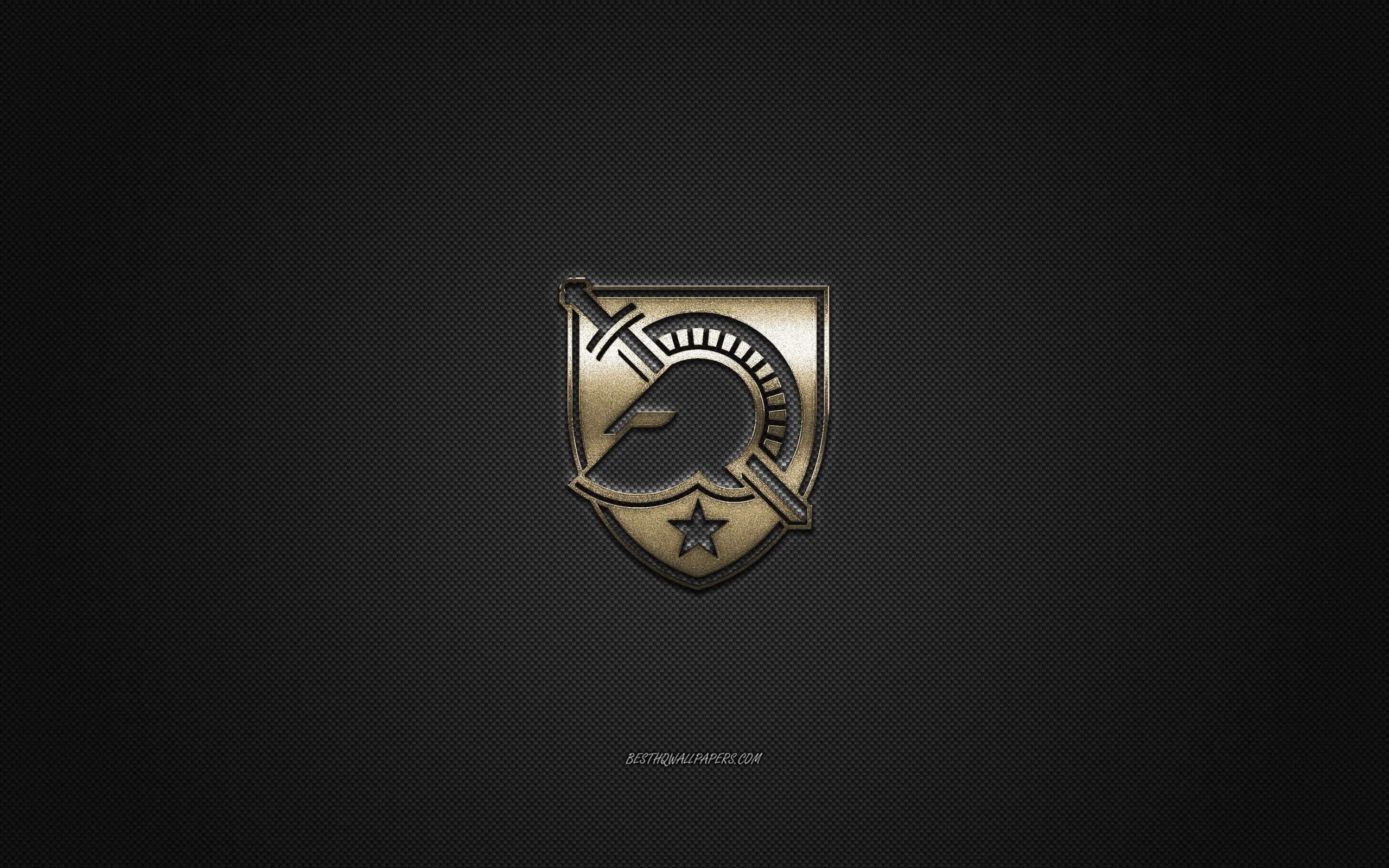 2560x1600 Download wallpaper Army Black Knights logo, American football club, NCAA, golden logo, gray carbon fiber background, American football, West Point, New York, USA, Army Black Knights for desktop with resolution. High, Desktop