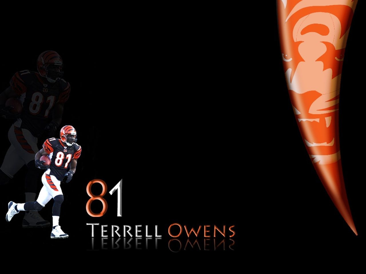 1280x960 free wallpaper hd: terrell owens wallpaper, Desktop