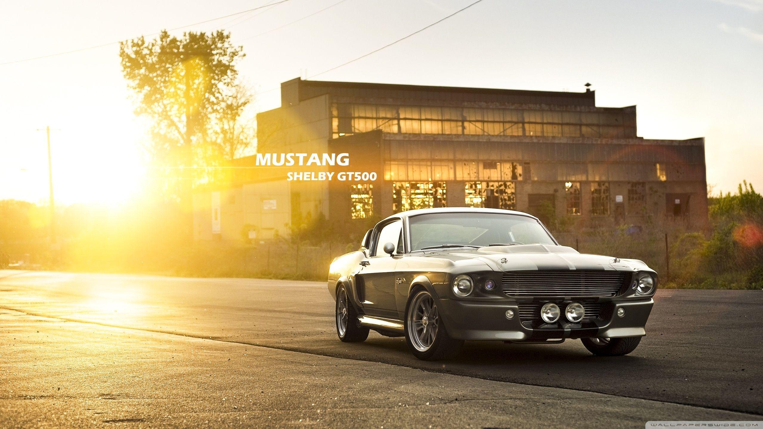 2560x1440 Classic Car HD Wallpaper Free Classic Car HD Background, Desktop