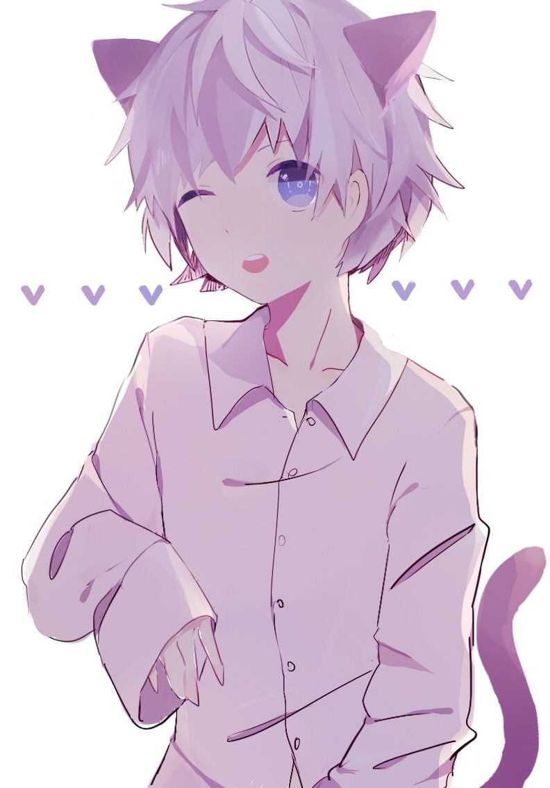 800x1140 Cute Anime Cat Boy Wallpaper Free Cute Anime Cat Boy Background, Phone