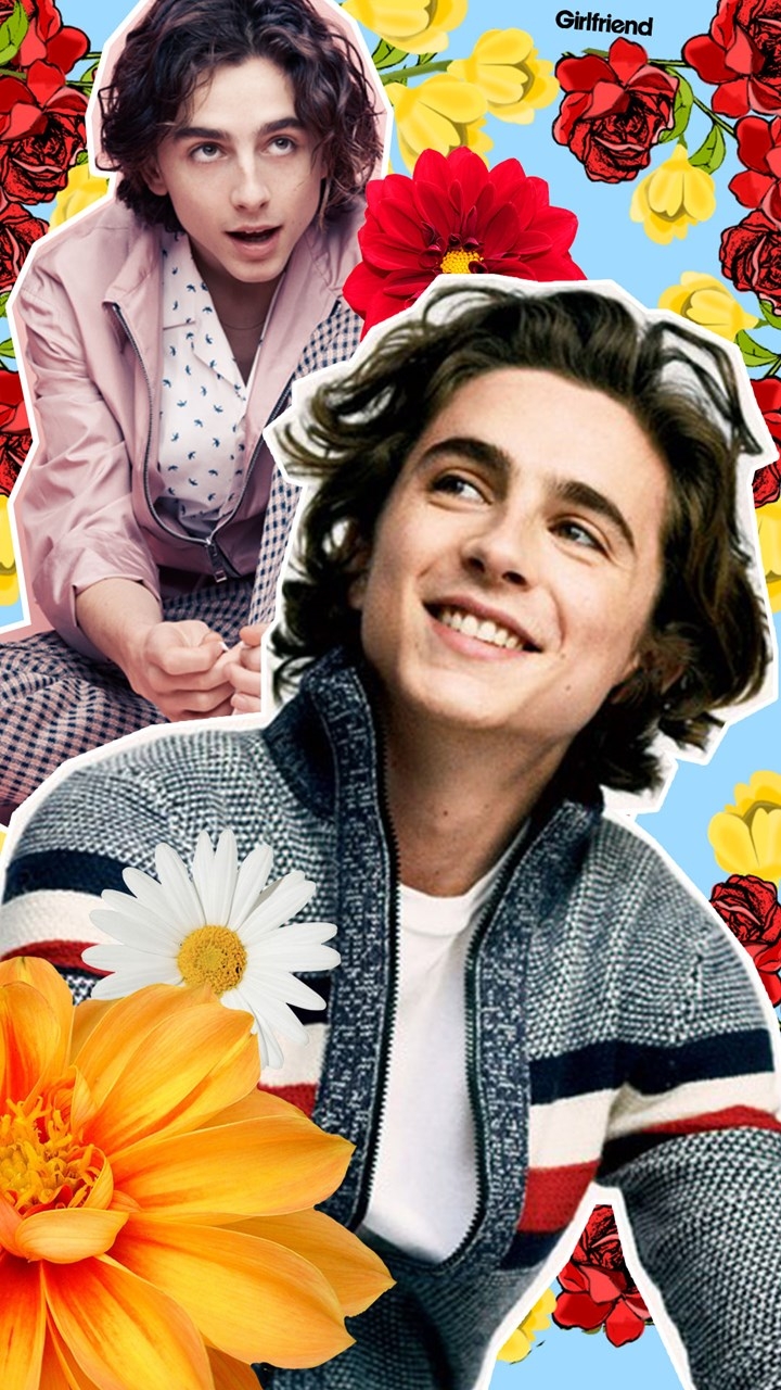 720x1280 Wallpaper Wednesdays! This week: regulation hottie Timothée Chalamet, Phone