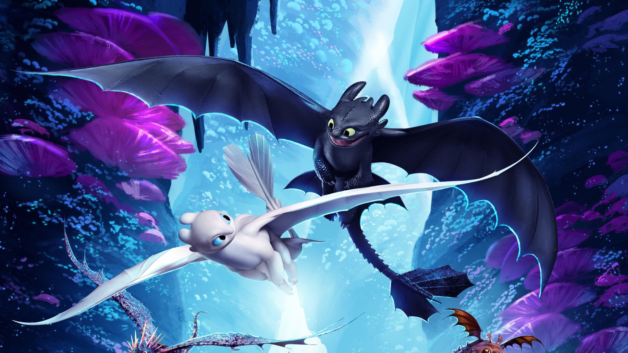 2560x1440 How To Train Your Dragon The Hidden World Night Fury, Desktop