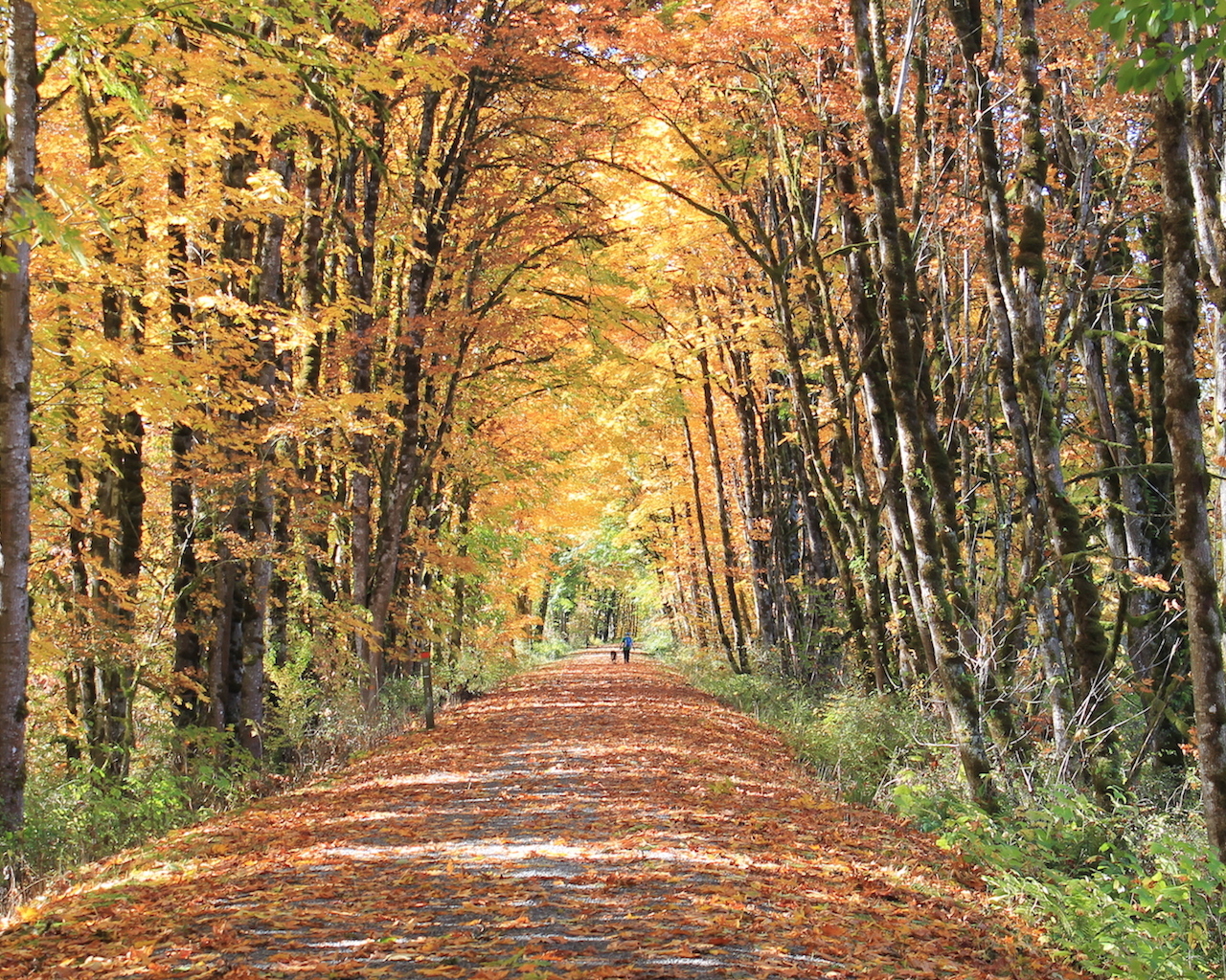 1280x1030 Free Wallpaper. Rails To Trails Conservancy, Desktop