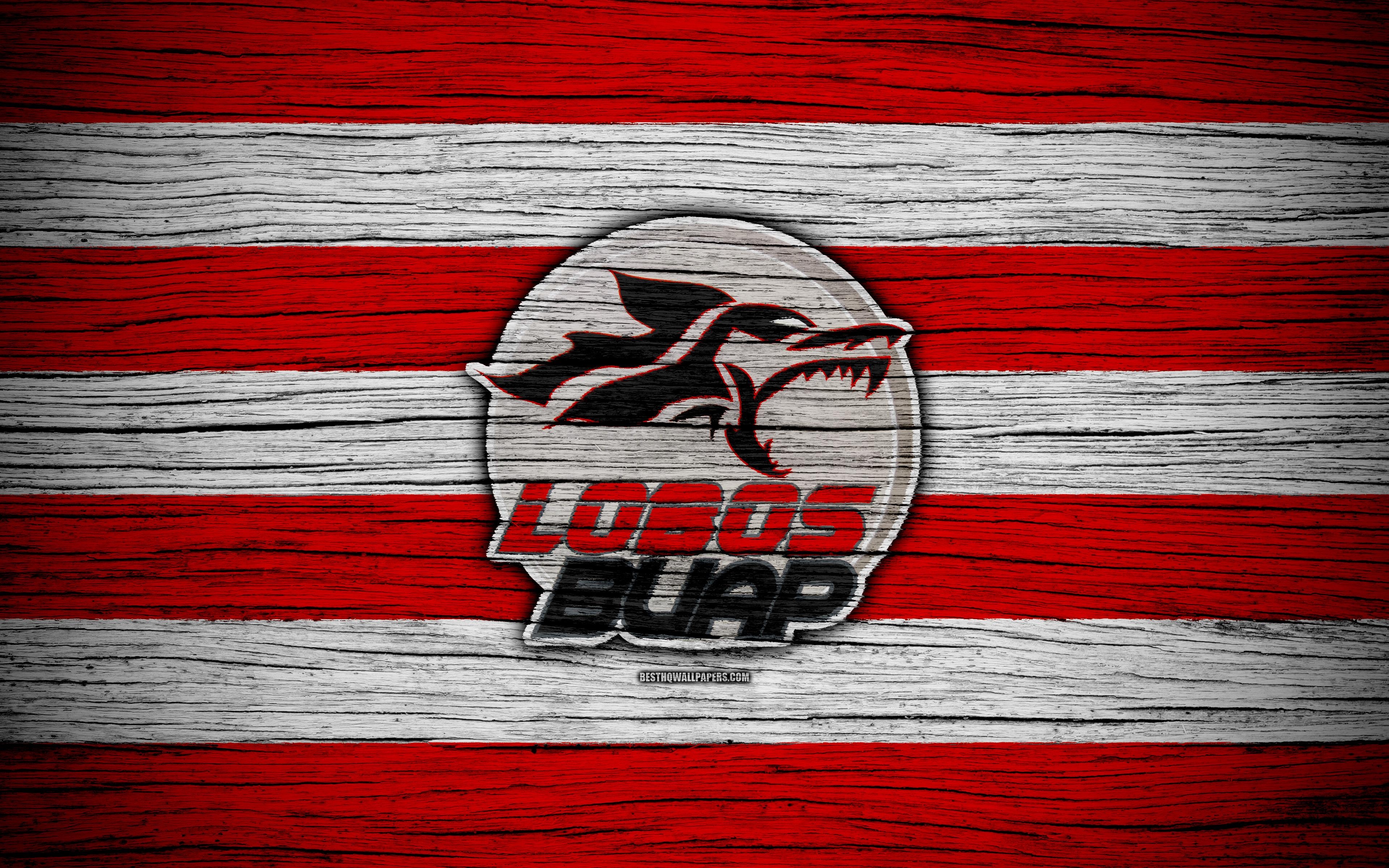 3840x2400 Download wallpaper Lobos BUAP FC, 4k, Liga MX, football, Primera, Desktop