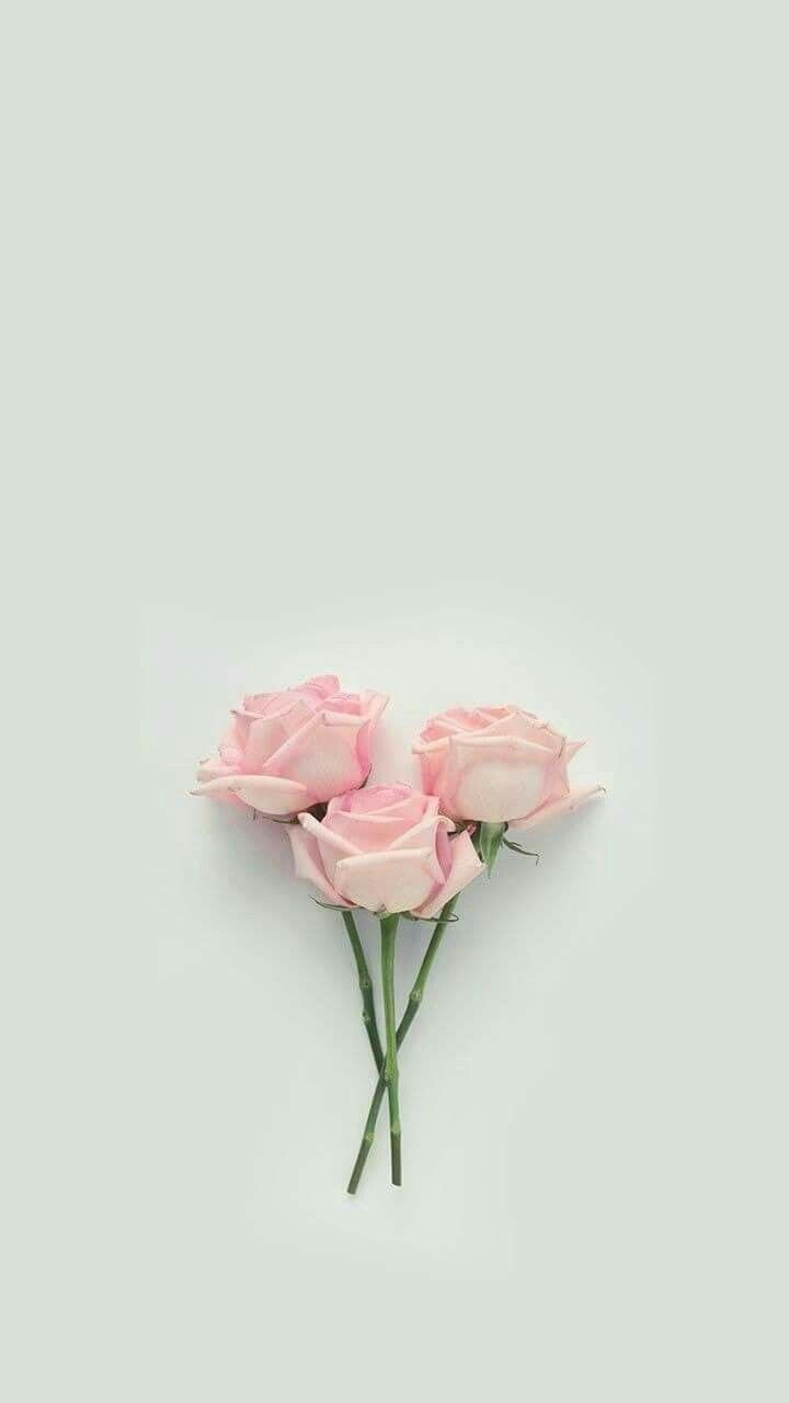 720x1280 Artistry Rose wallpaper, Phone