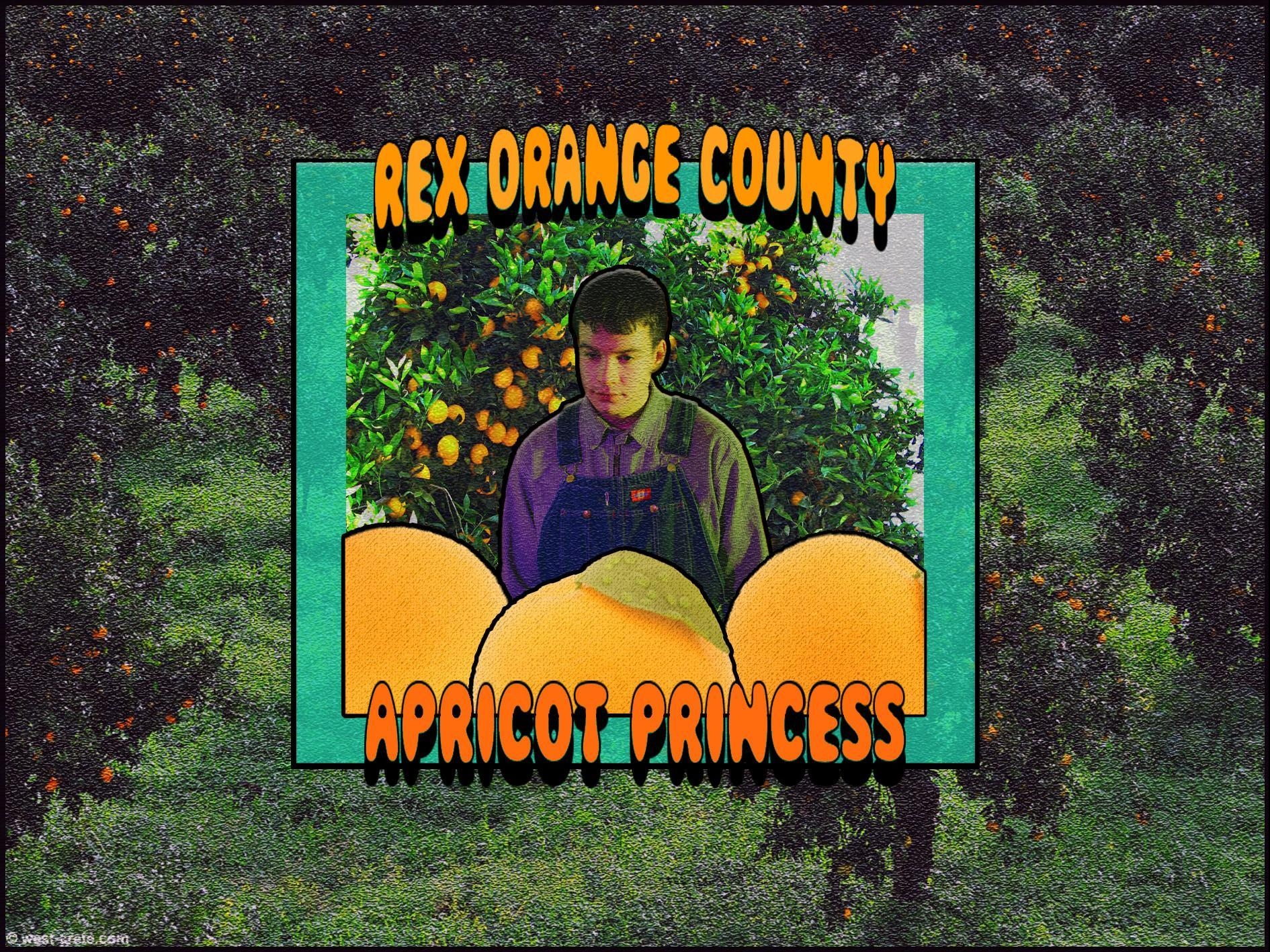 1890x1420 Rex Orange County, Desktop