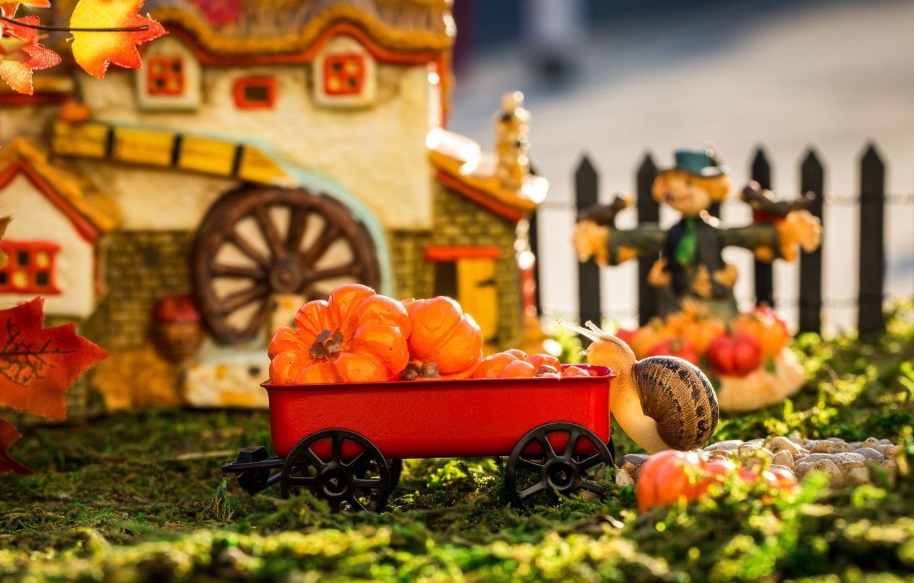 1340x850 Wallpaper autumn, grass, leaves, macro, light, house, the game, toys, the fence, snail, garden, harvest, pumpkin, truck, red, setting image for desktop, section макро, Desktop