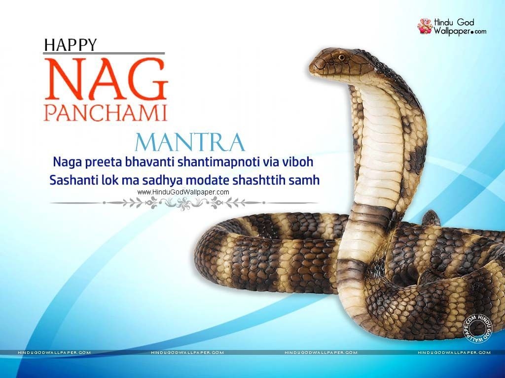 1030x770 Nag Panchami 2019 Wallpaper HD Image Photo Free Download, Desktop