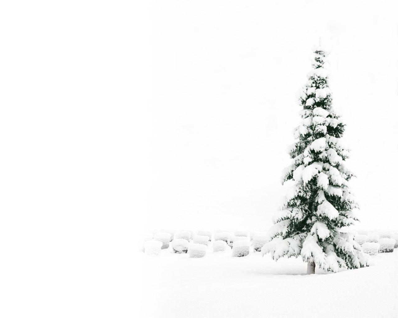 1280x1030 Snowy Christmas Tree Wallpaper, Desktop