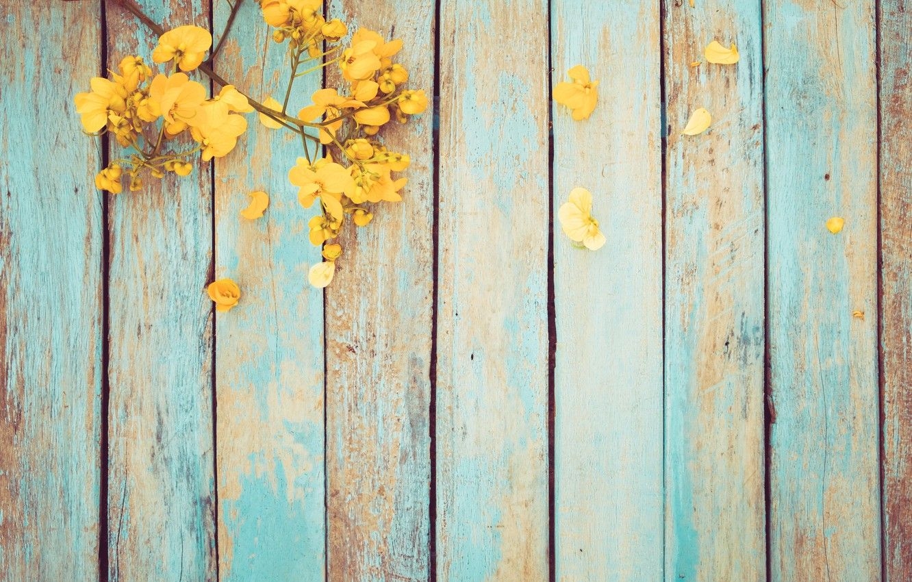 1340x850 Free download Wallpaper flowers spring yellow vintage yellow wood, Desktop