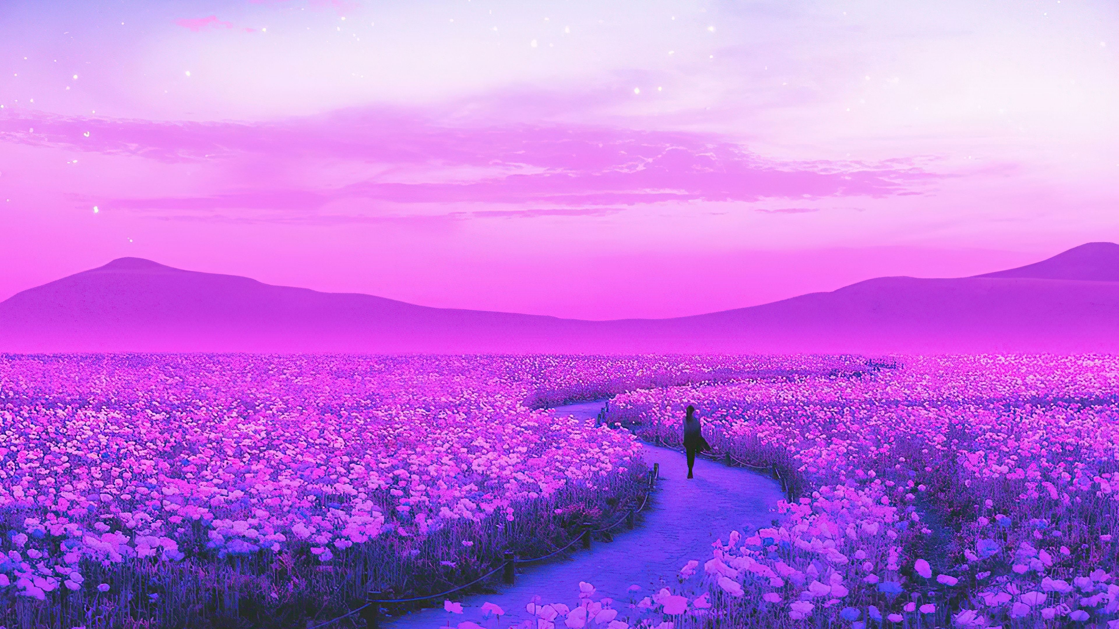 3840x2160 Lavender HD Wallpaper & Background, Desktop