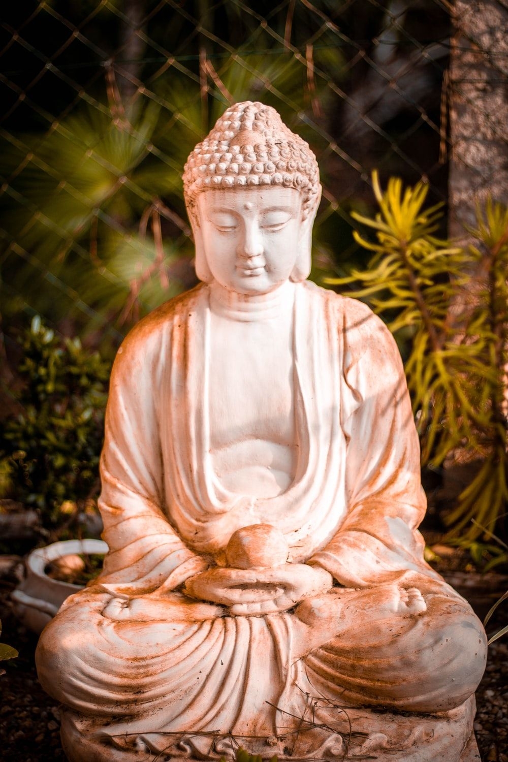 1000x1500 Buddha Picture & Image [HQ]. Download Free Photo, Phone