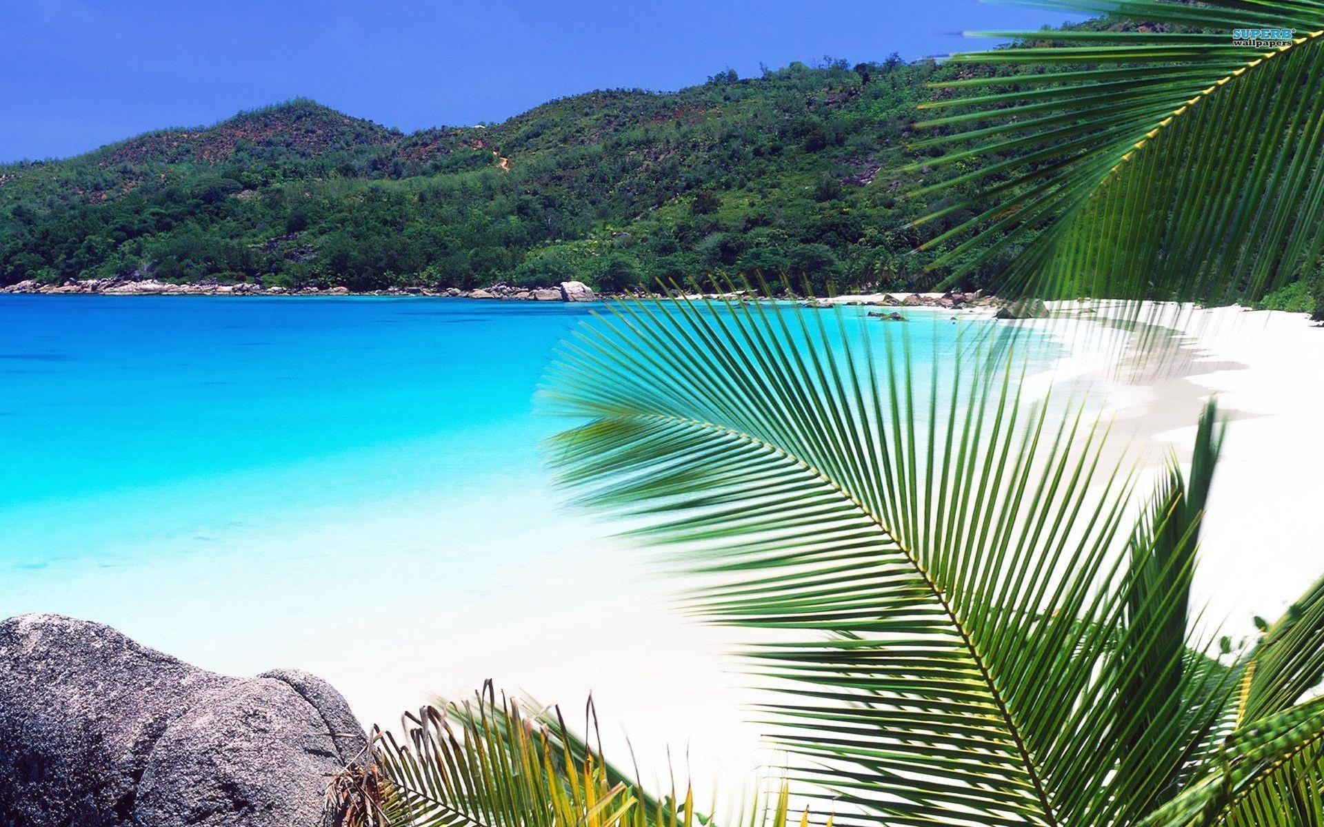 1920x1200 Seychelles wallpaper wallpaper - #, Desktop