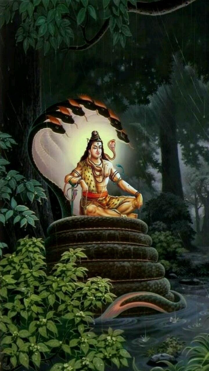 720x1280 Lord Shiva HD Mobile Wallpaper Mobile Walls, Phone