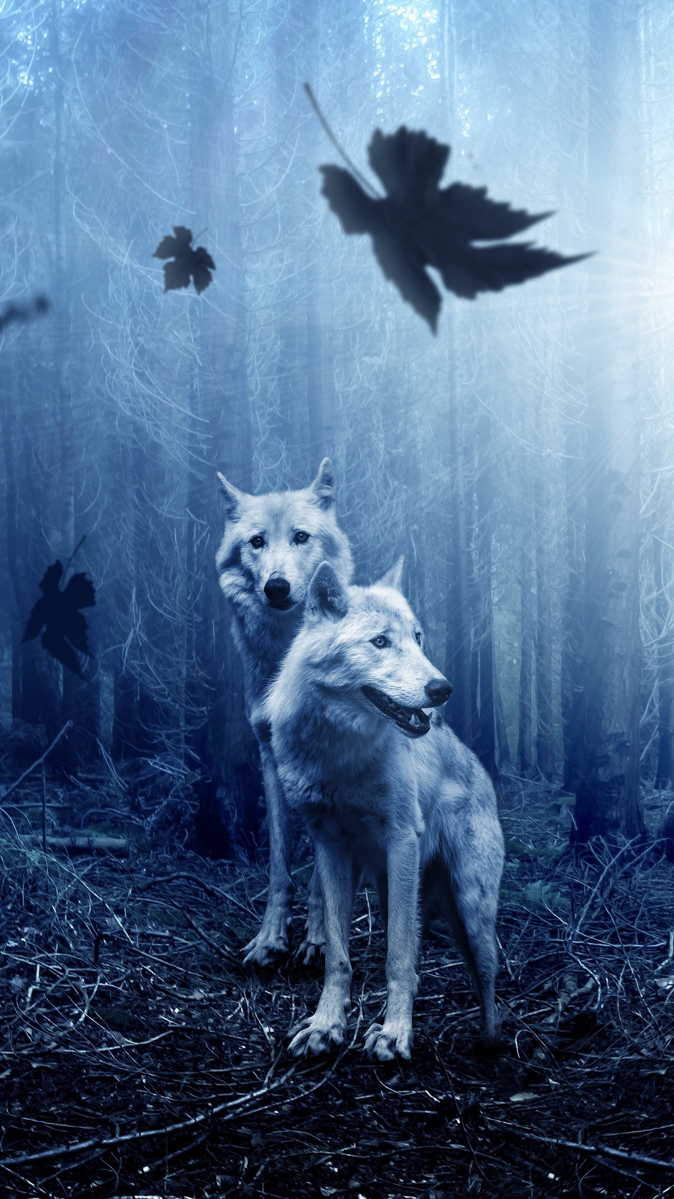 1350x2400 Download wallpaper  wolves, predators, forest, Phone