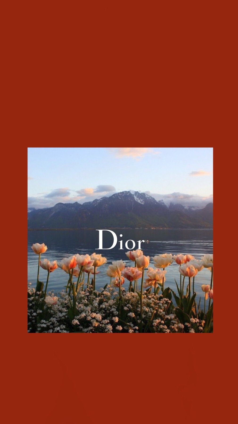 1010x1800 Free download Poppies Dior Wallpaper Dior wallpaper Vintage phone wallpaper [] for your Desktop, Mobile & Tablet. Explore Iconic Background. Wednesday Addams Netflix Wallpaper, Ja Morant Wallpaper, Kaws iPhone Wallpaper, Phone