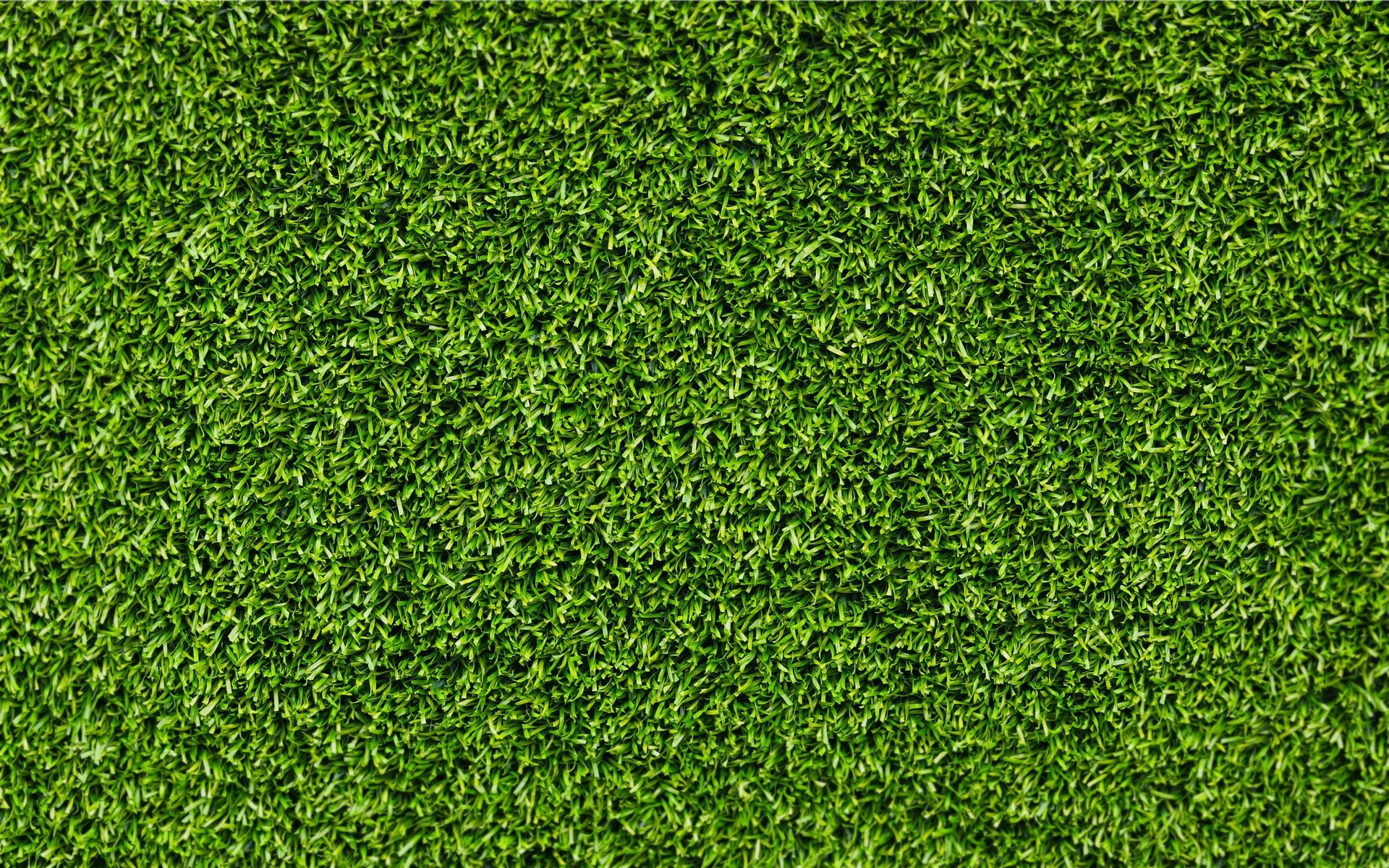 1920x1200 Grass Textured Wallpaper, Desktop