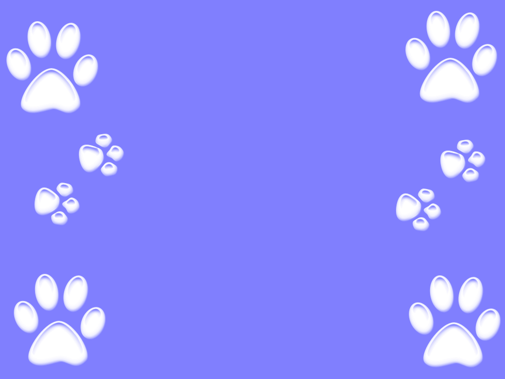 1030x770 Paw Print Wallpaper Desktop, Desktop