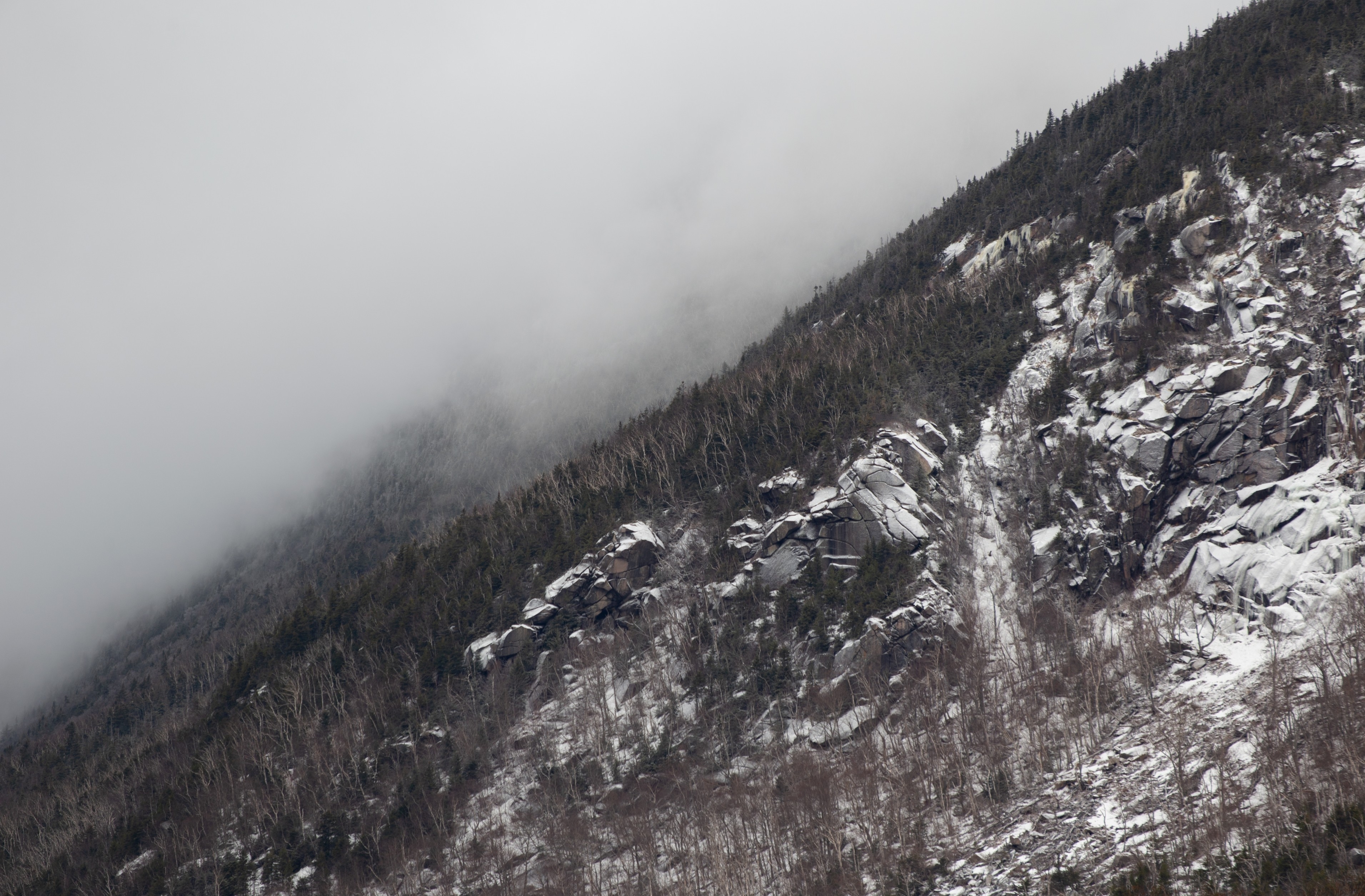 3830x2510 Download  Foggy Mountain, Cold, Rocks, Field, Plants, Mist, Desktop