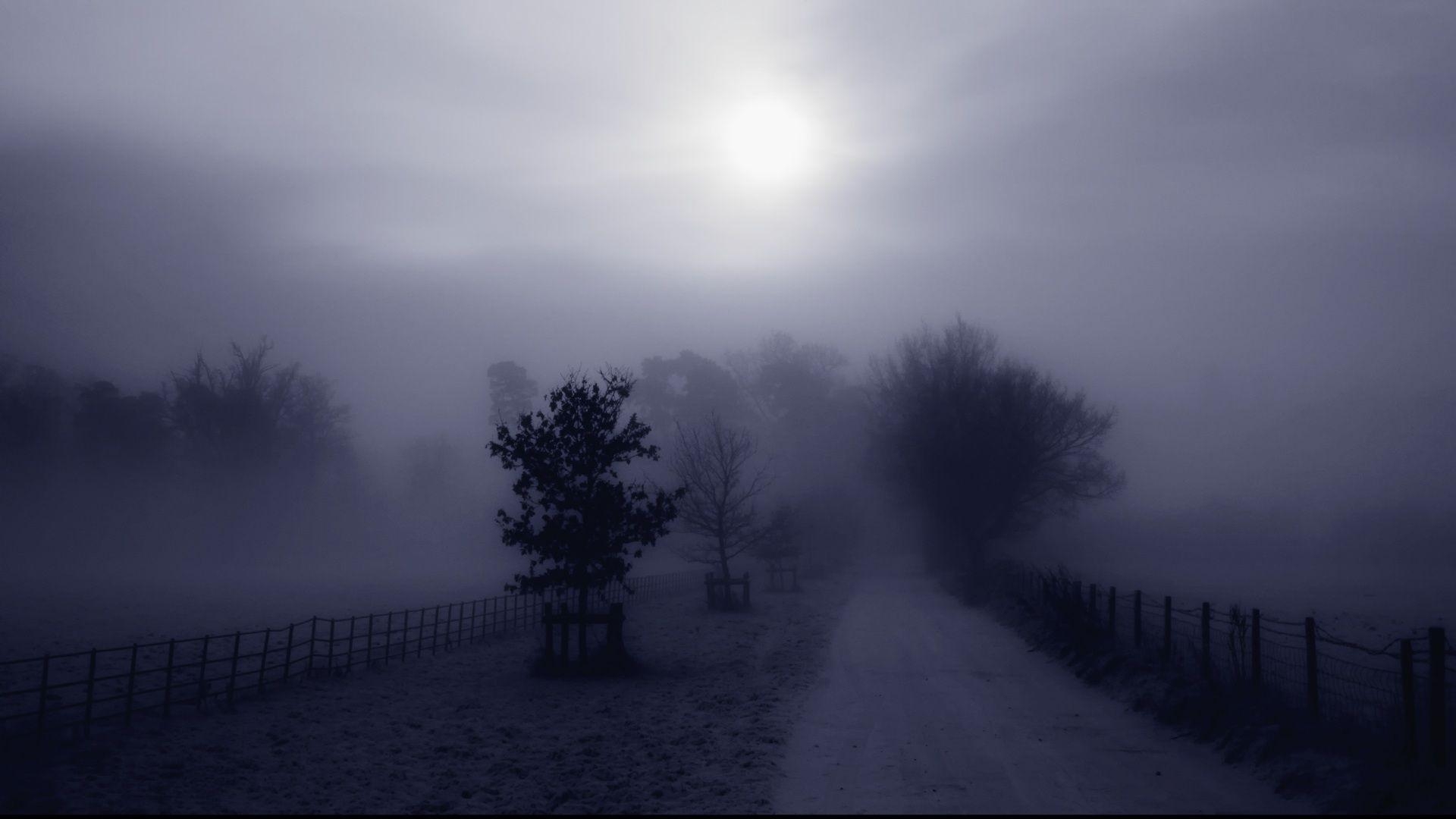 1920x1080 Fog Wallpaper HD Background, Image, Pics, Photo Free Download, Desktop