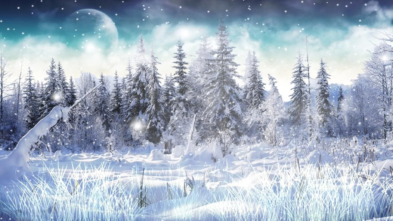 1310x740 Snow Wallpaper Desktop, Desktop