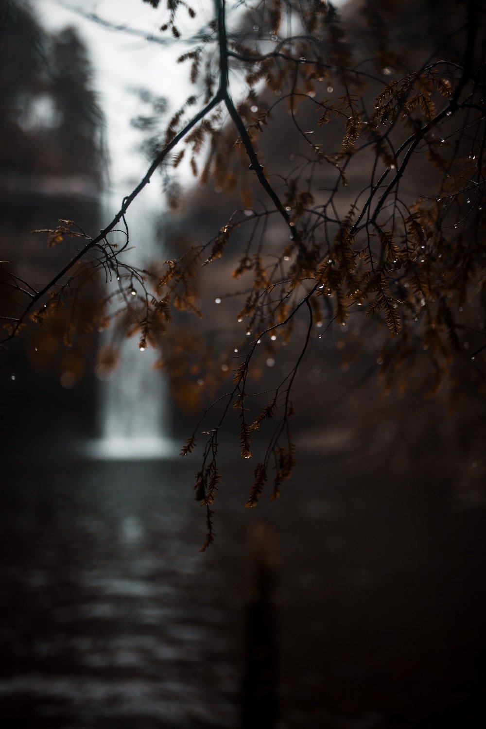 1000x1500 Autumn Rain Picture. Download Free Image, Phone