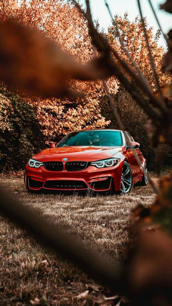 720x1280 BMW M3 wallpaper, Phone