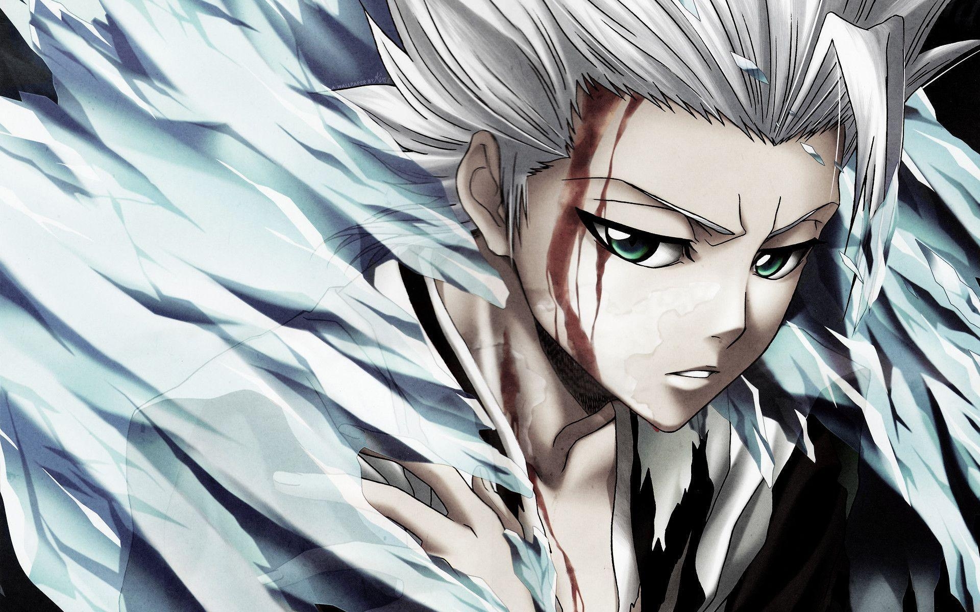 1920x1200 Toshiro Hitsugaya Hitsugaya fangirls <3 Wallpaper, Desktop