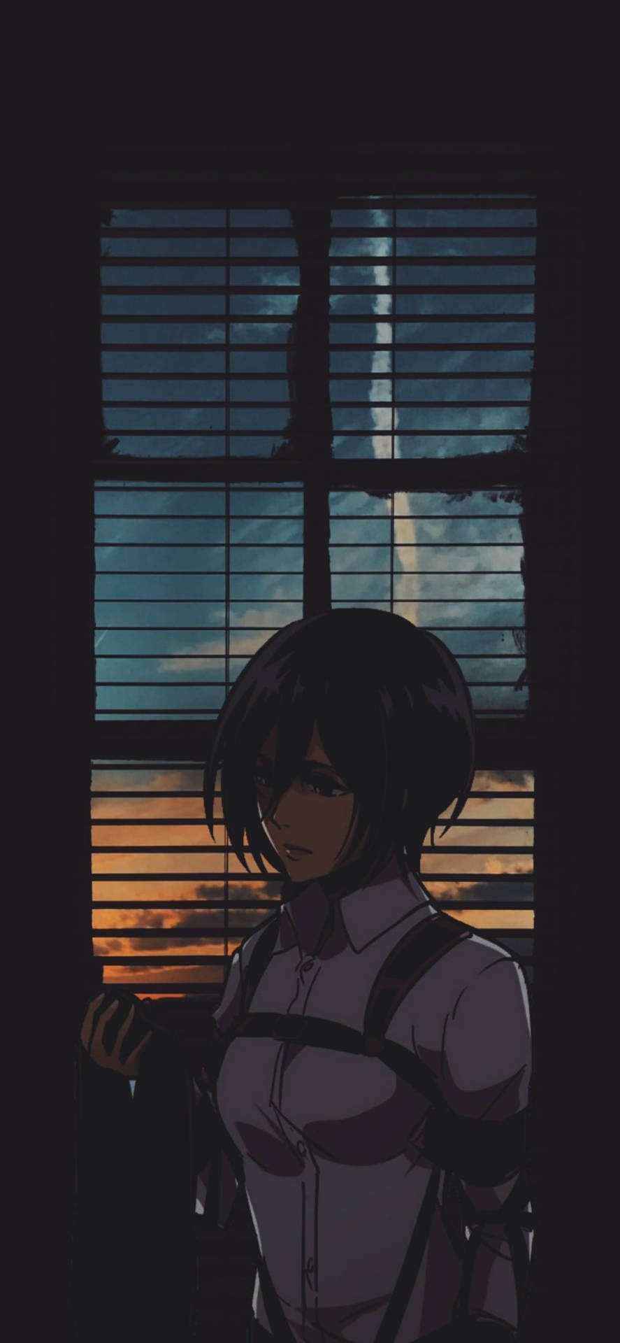 890x1920 Download Sad Mikasa Attack On Titan iPhone Wallpaper, Phone