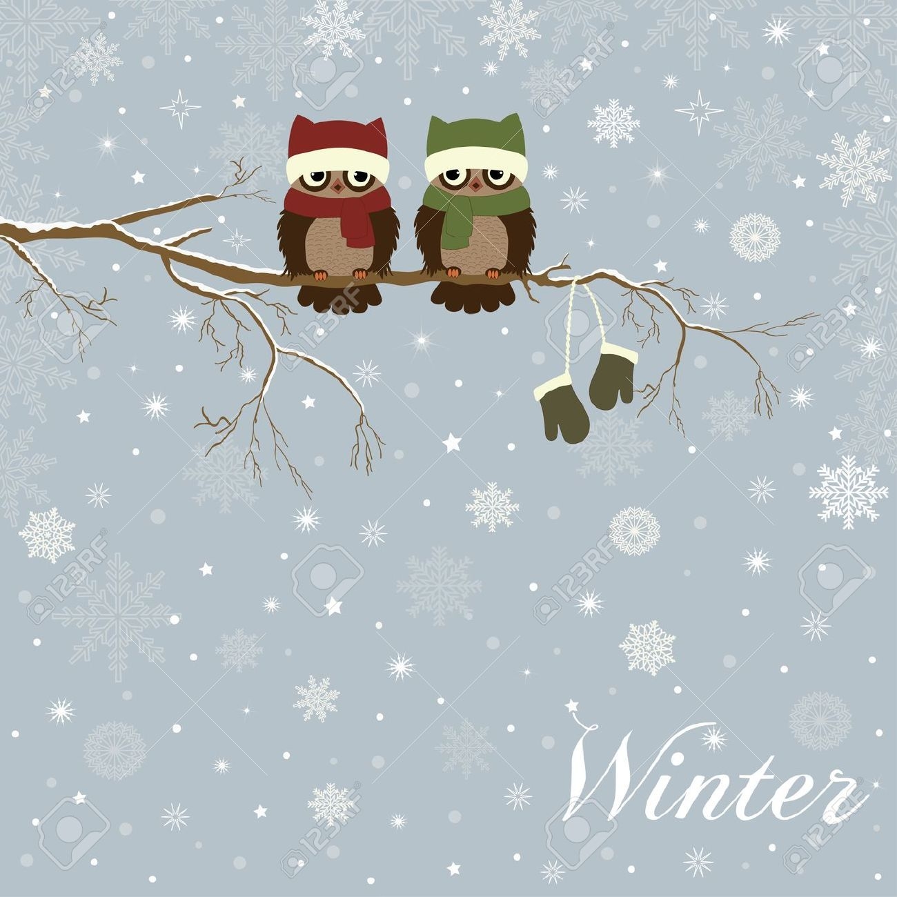 1300x1300 Cute Winter Owl Wallpaper Free Cute Winter Owl Background, Phone