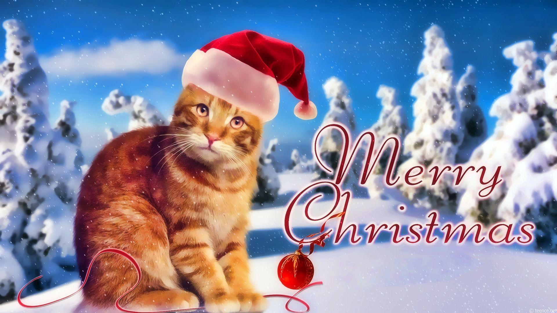 1920x1080 Free Christmas Cats wallpaper collection to decorate your desktops, Desktop