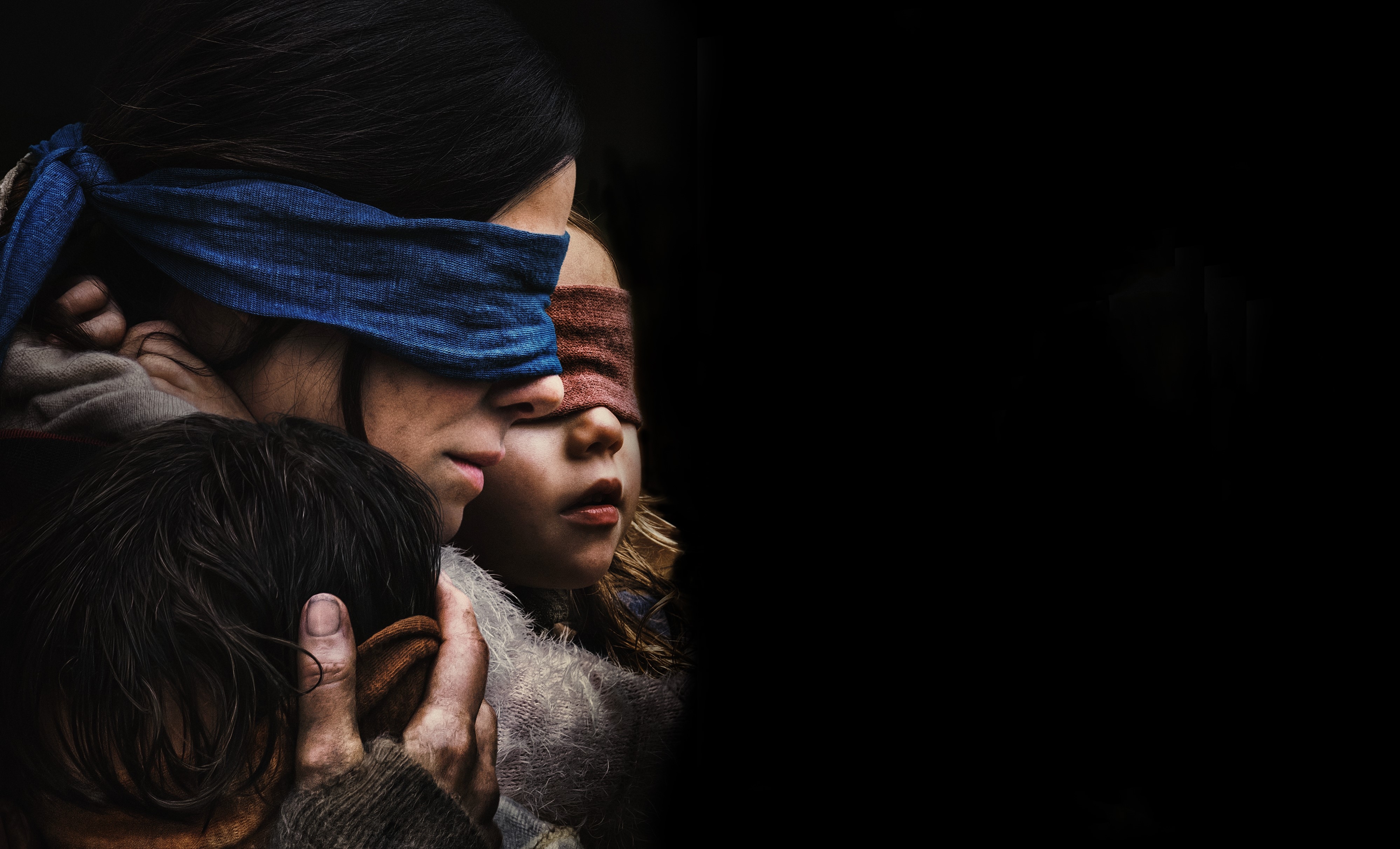 4000x2430 bird box 1080P, 2k, 4k Full HD Wallpaper, Background Free Download, Desktop